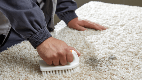 Professional Rug Cleaning St Albans Park