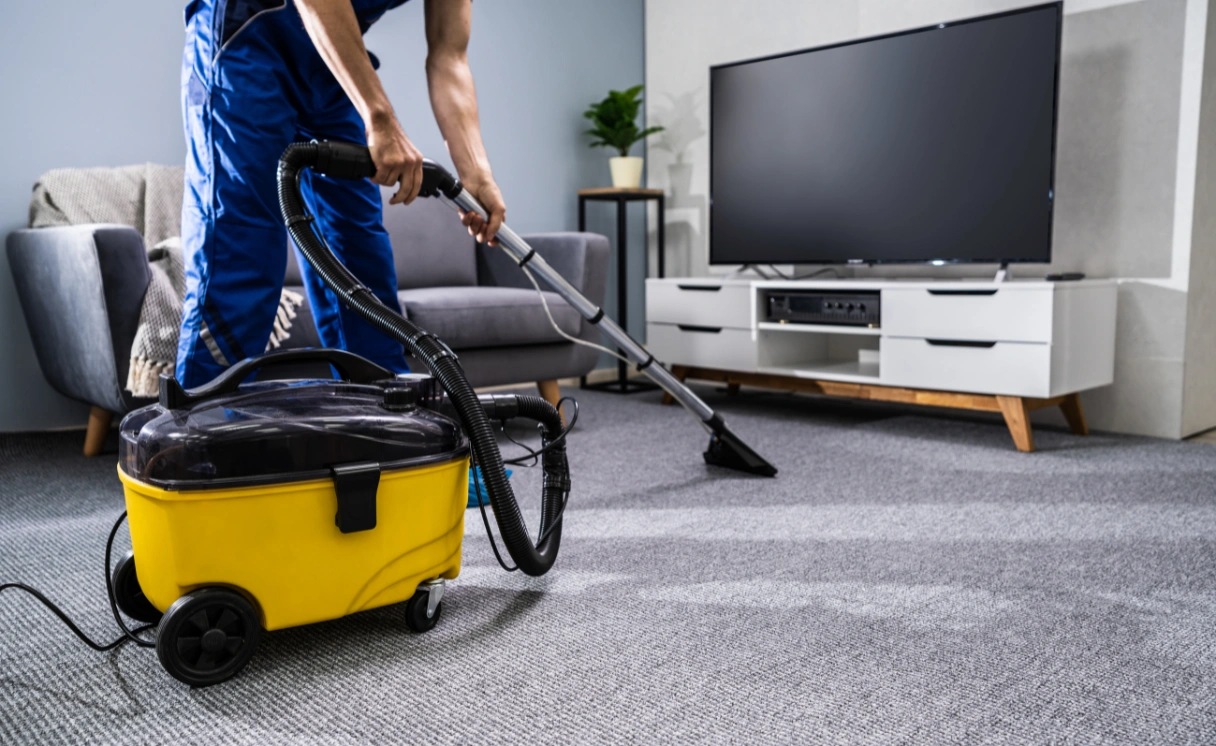 Extract Rug Cleaning St Albans Park Contact Office